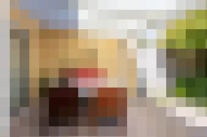 Fluitekruid 50 Venray thumbnail 31
