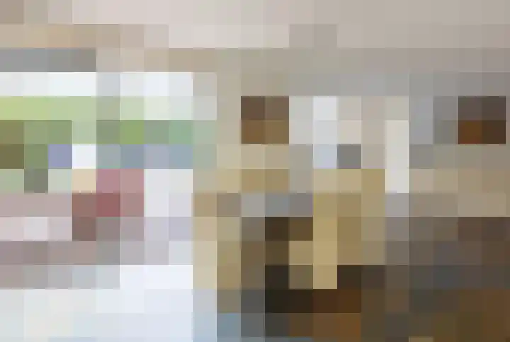 Fluitekruid 50 Venray thumbnail 9