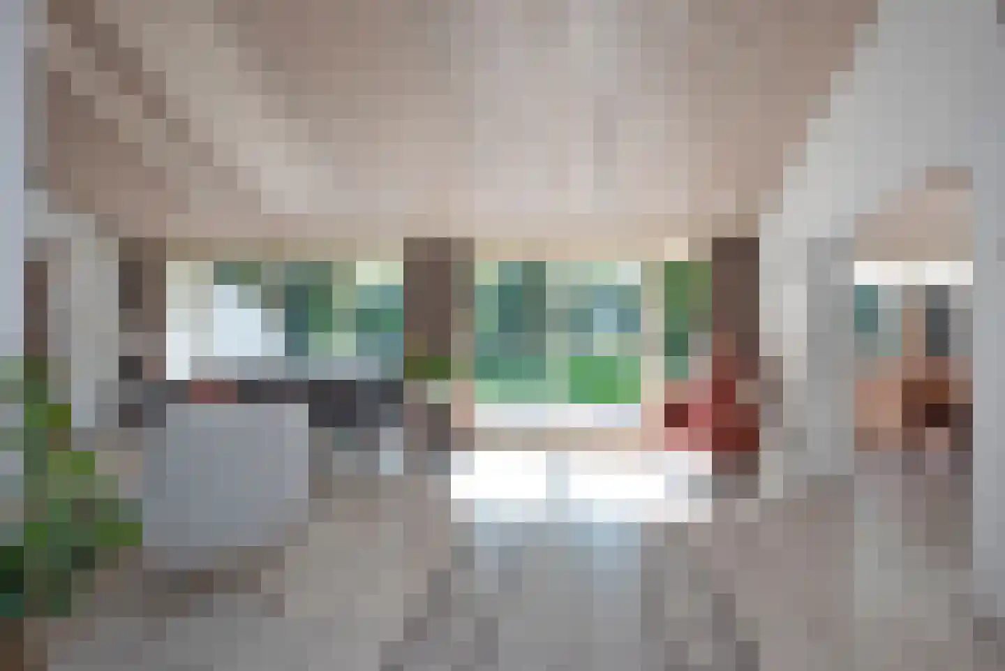 Fluitekruid 53 Delden thumbnail 12