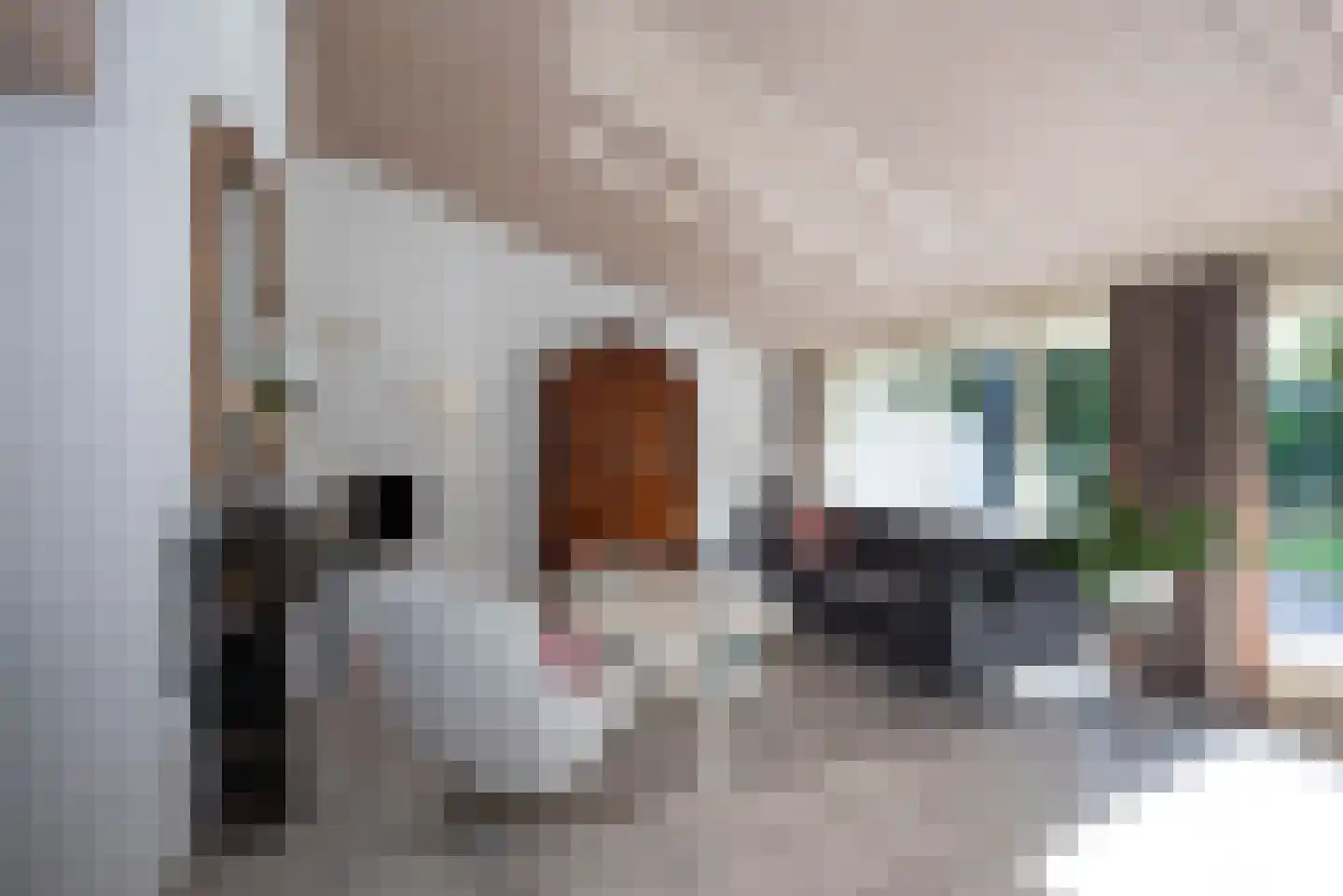 Fluitekruid 53 Delden thumbnail 13