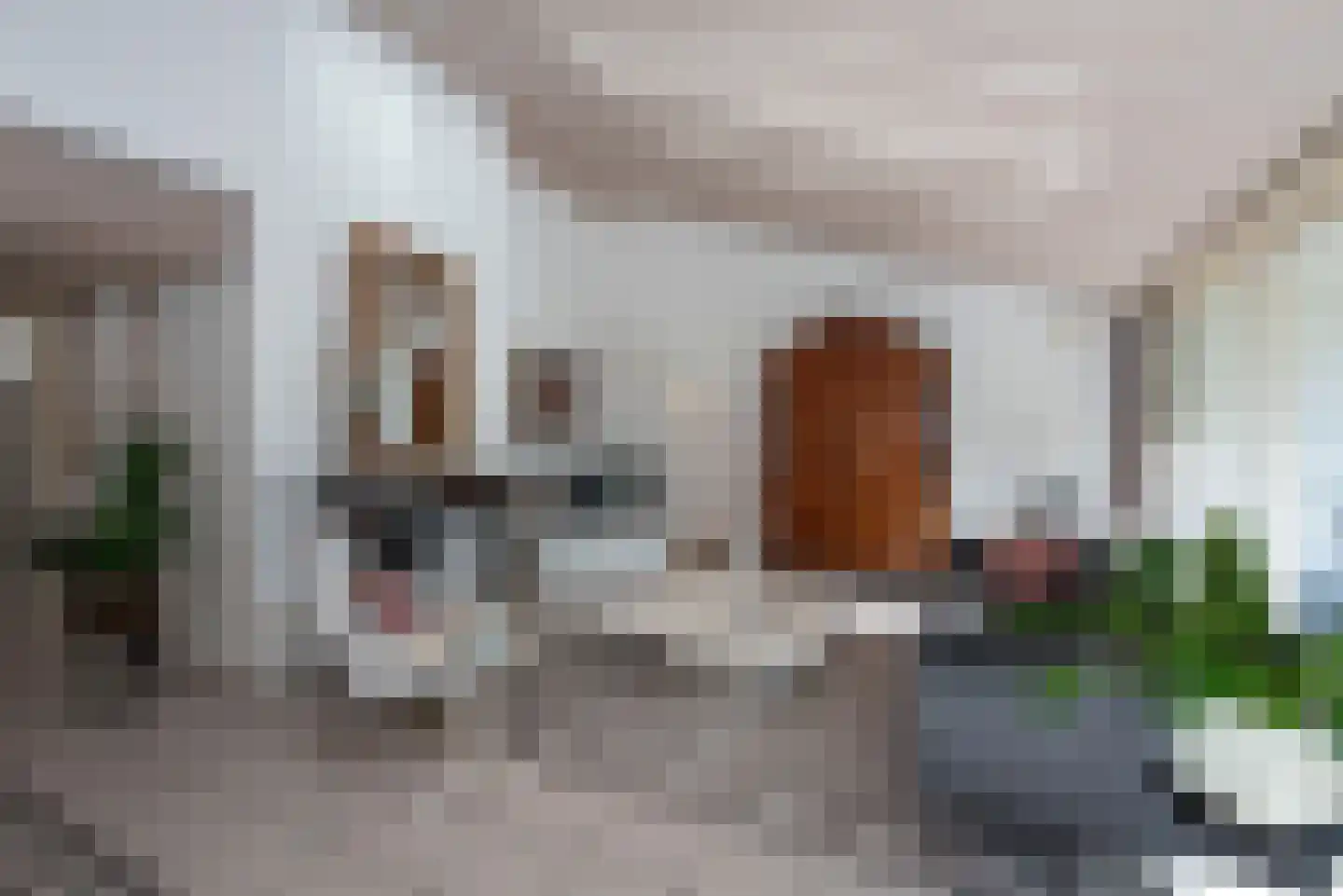 Fluitekruid 53 Delden thumbnail 15