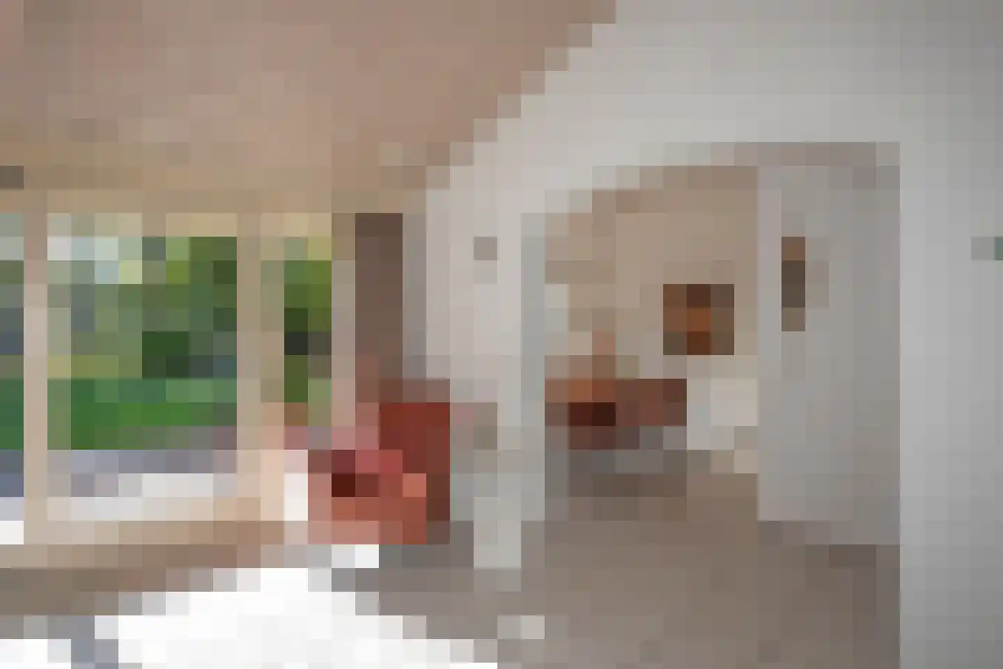 Fluitekruid 53 Delden thumbnail 18