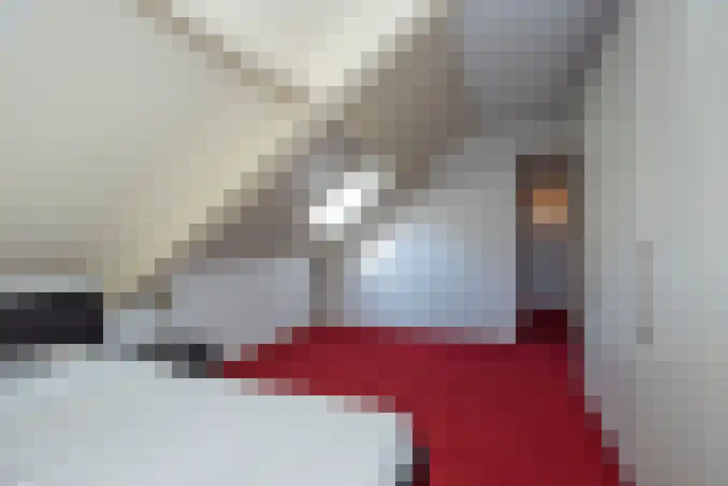 Fluitekruid 53 Delden thumbnail 35