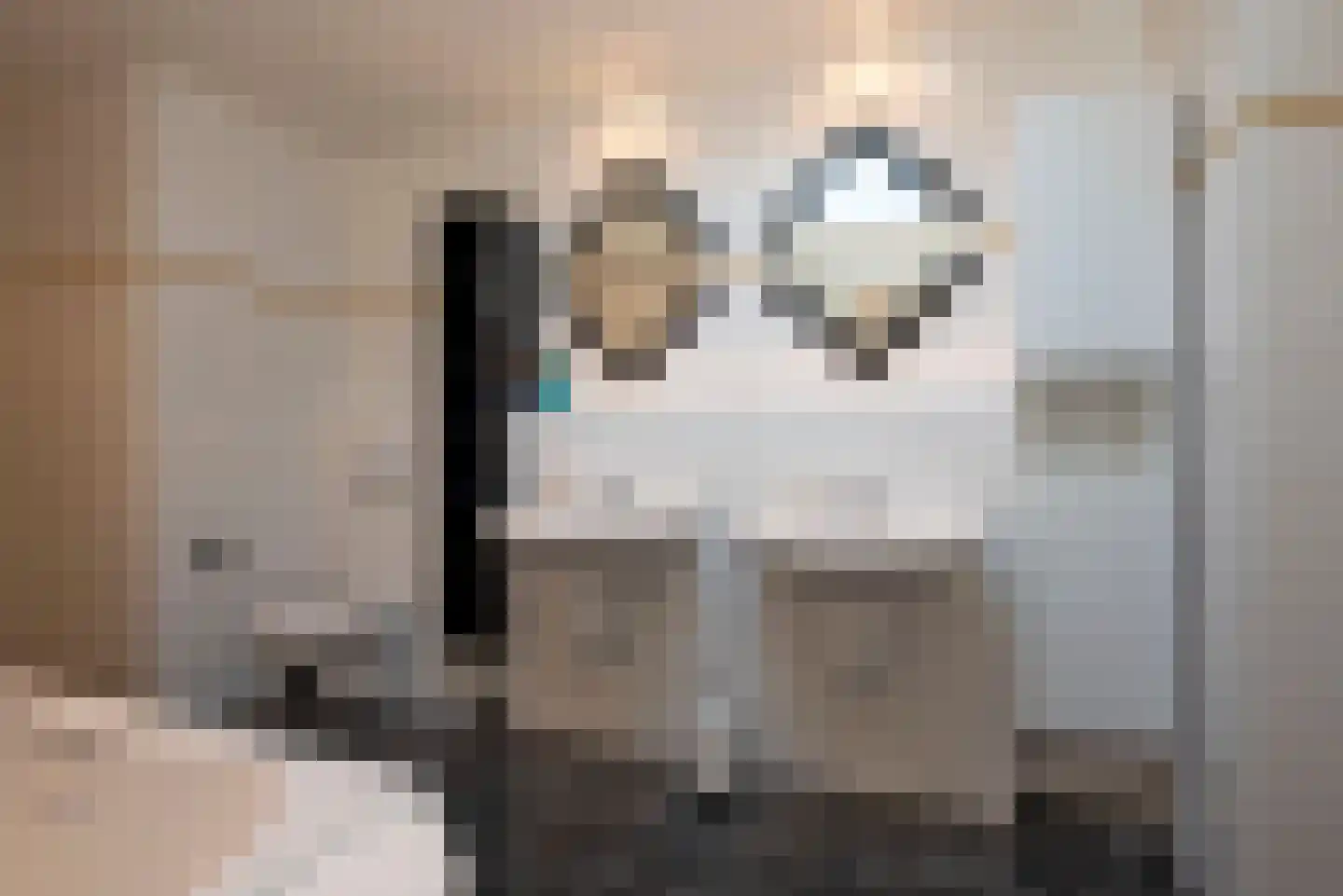 Fluitekruid 53 Delden thumbnail 37