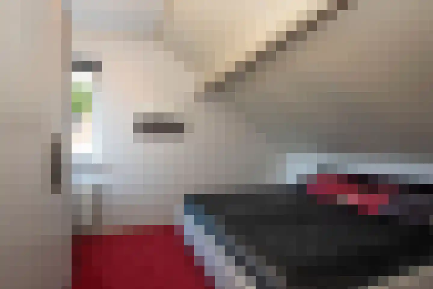 Fluitekruid 53 Delden thumbnail 42