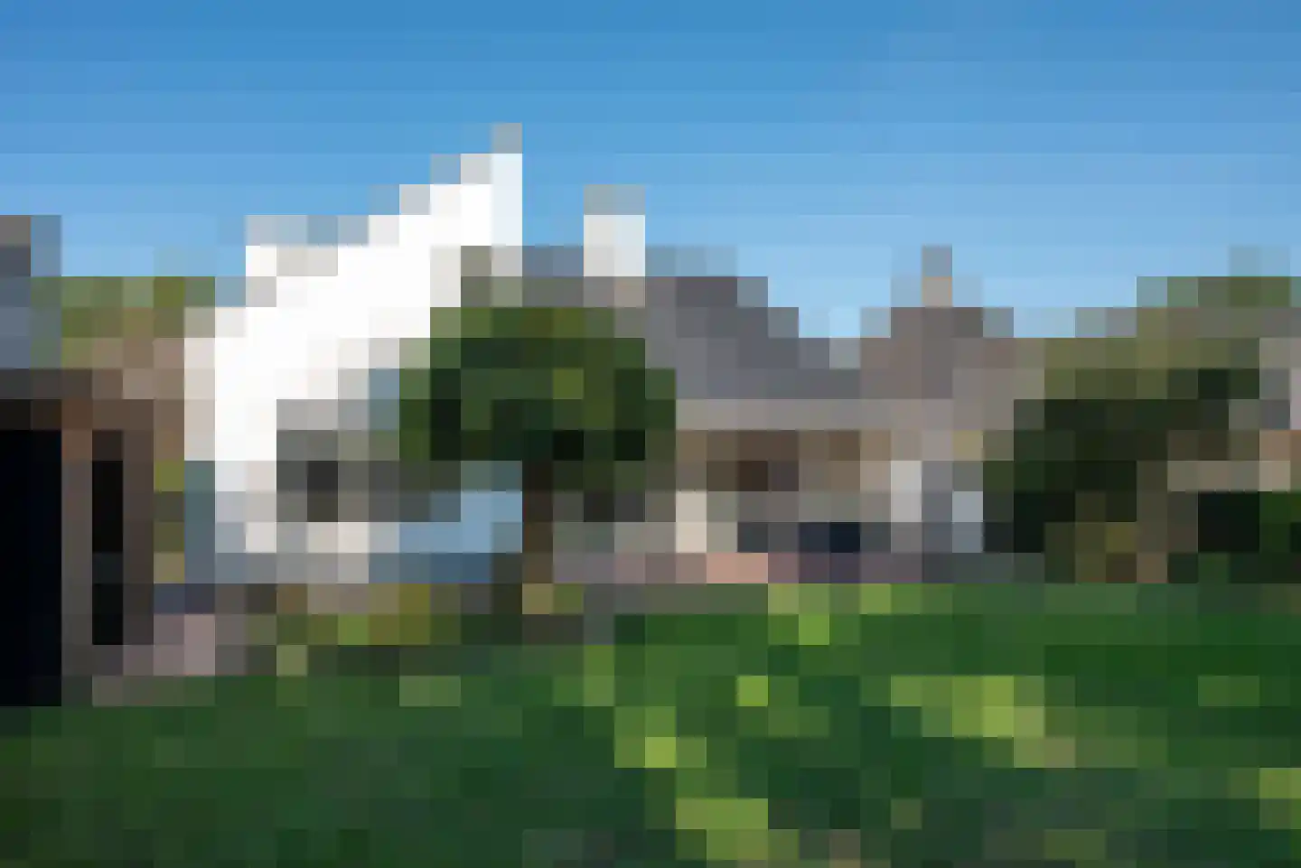 Fluitekruid 53 Delden thumbnail 48