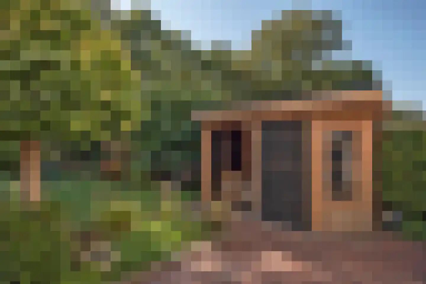 Fluitekruid 53 Delden thumbnail 49