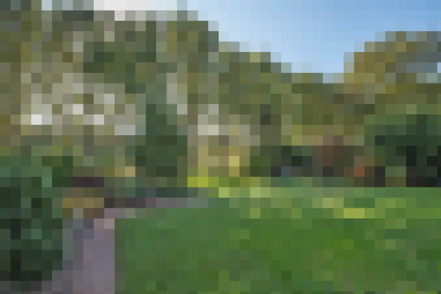 Fluitekruid 53 Delden thumbnail 5