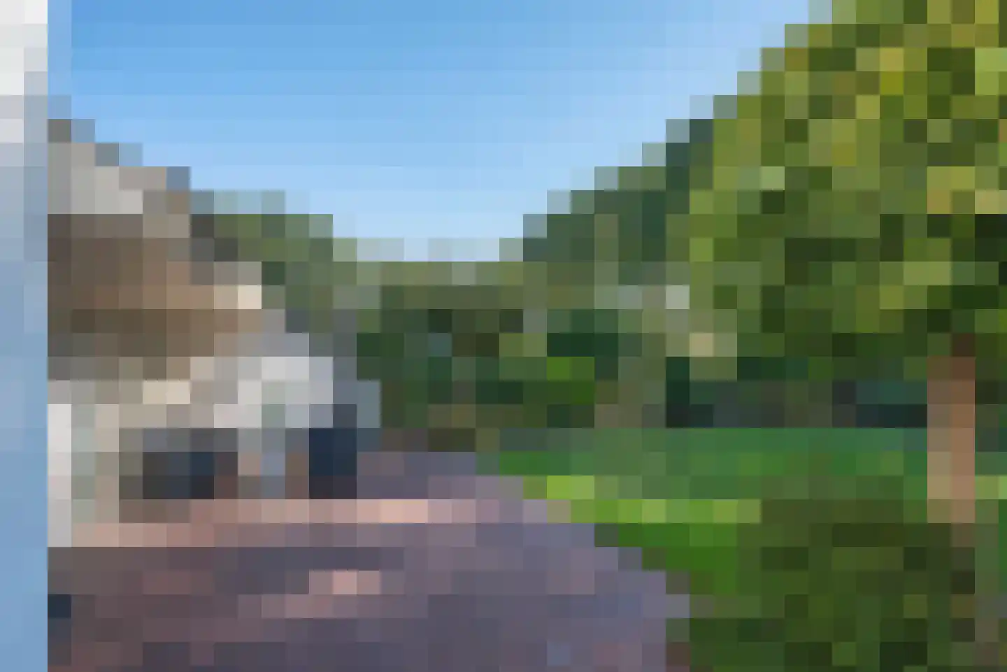 Fluitekruid 53 Delden thumbnail 51