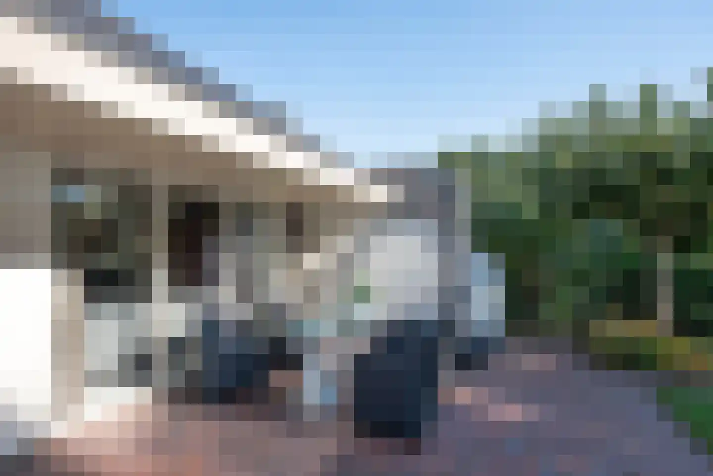 Fluitekruid 53 Delden thumbnail 52