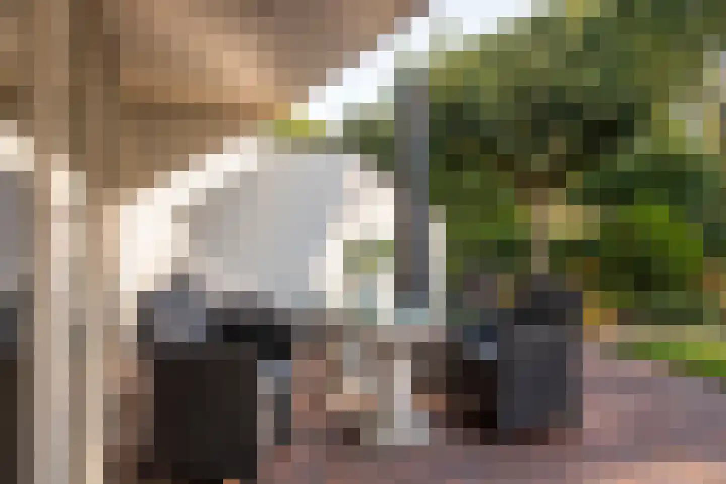 Fluitekruid 53 Delden thumbnail 53