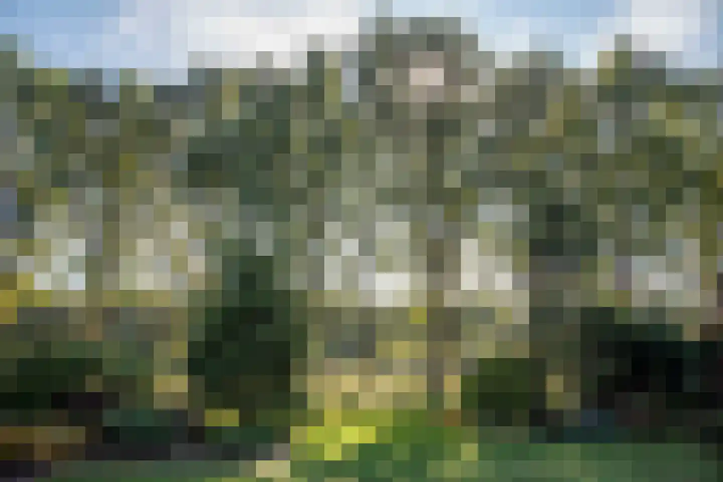 Fluitekruid 53 Delden thumbnail 54