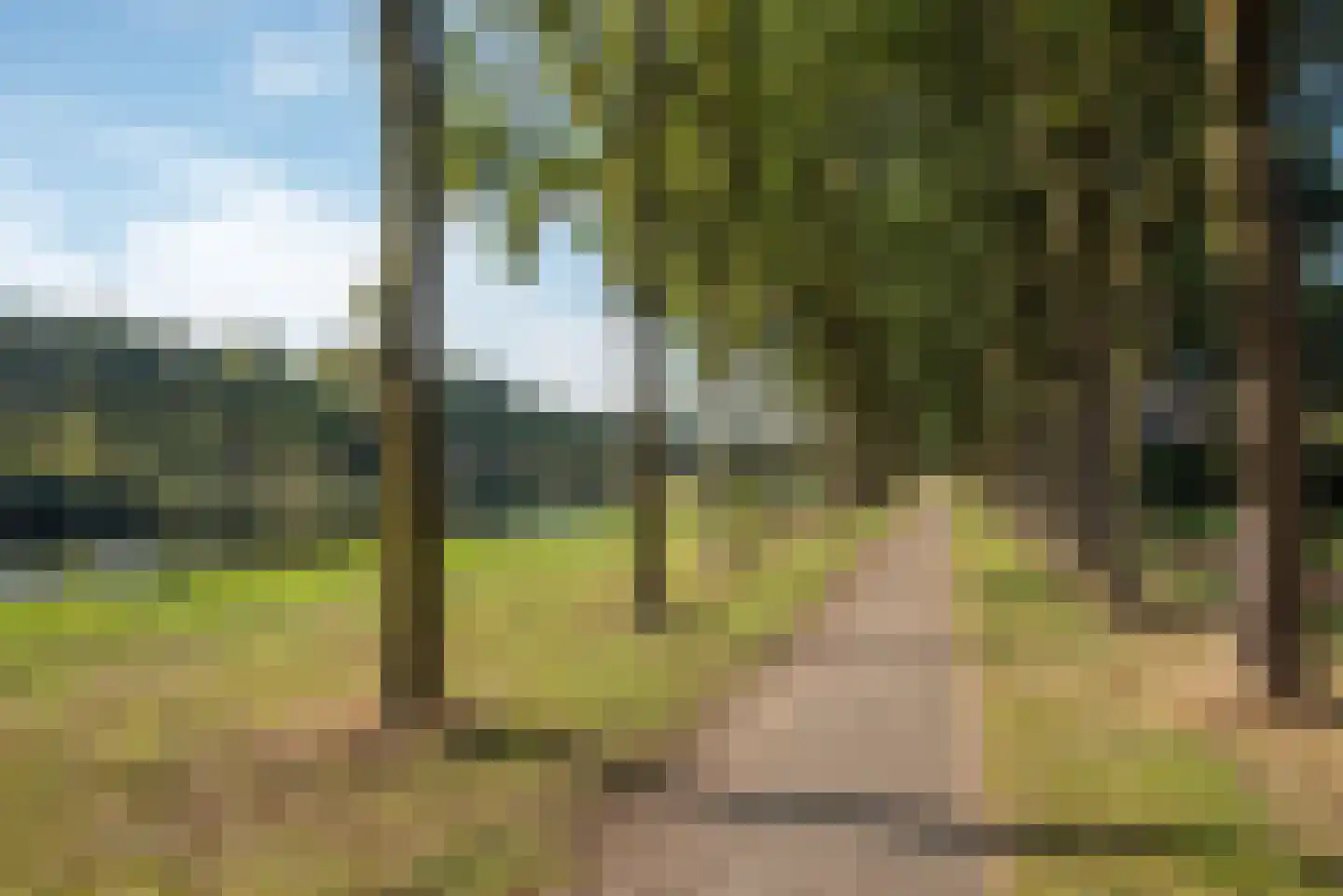 Fluitekruid 53 Delden thumbnail 55