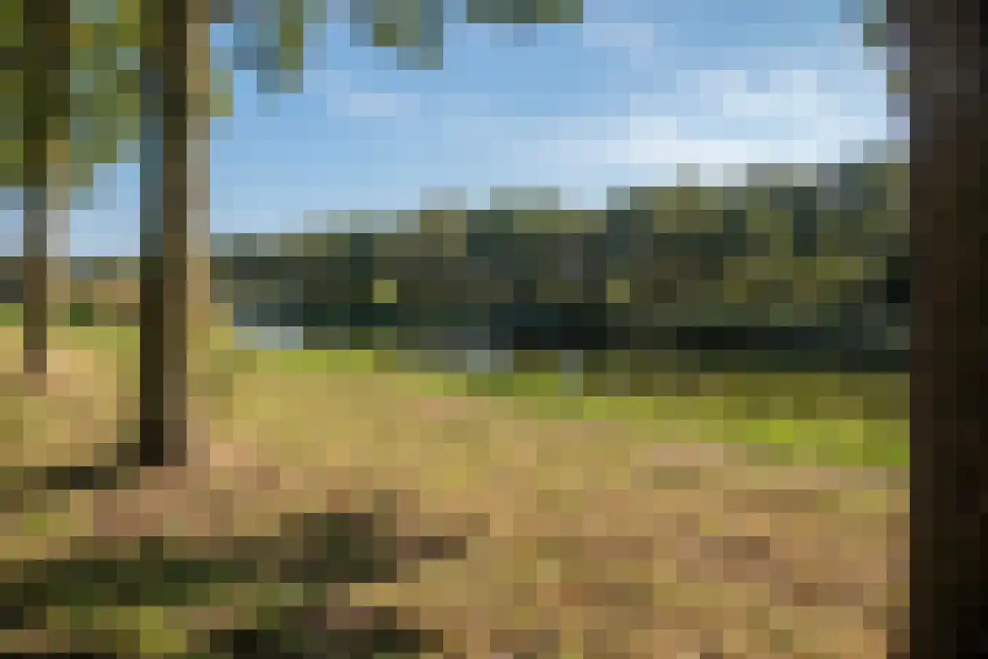 Fluitekruid 53 Delden thumbnail 56