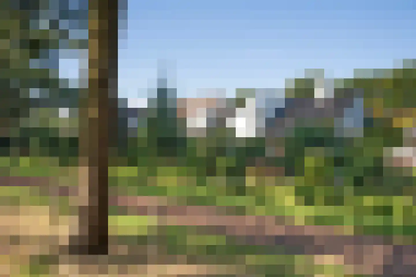 Fluitekruid 53 Delden thumbnail 57