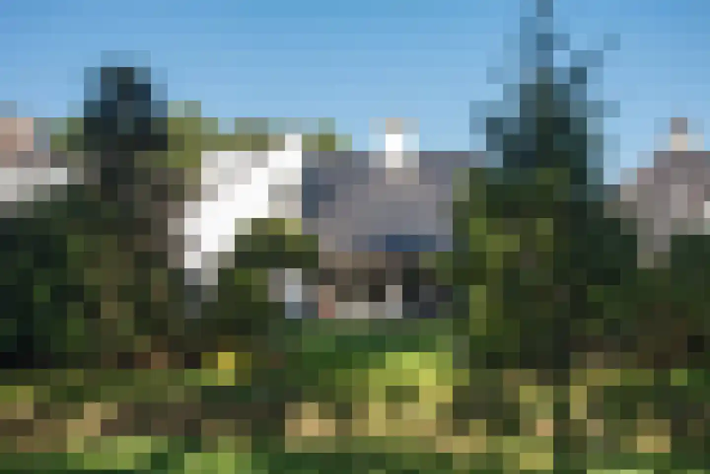 Fluitekruid 53 Delden thumbnail 58