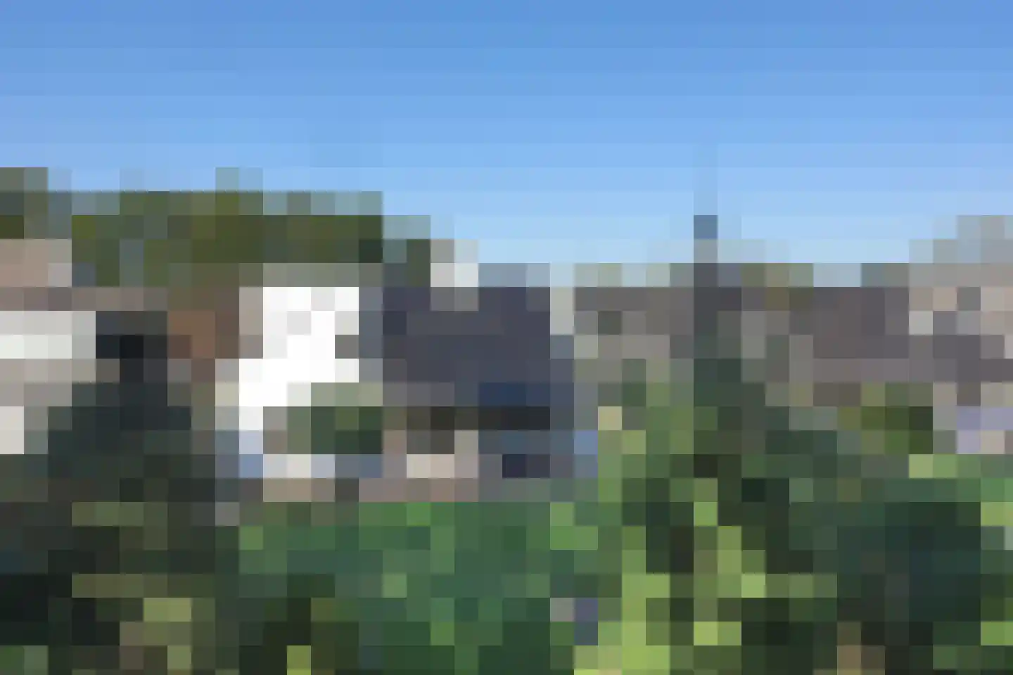 Fluitekruid 53 Delden thumbnail 59