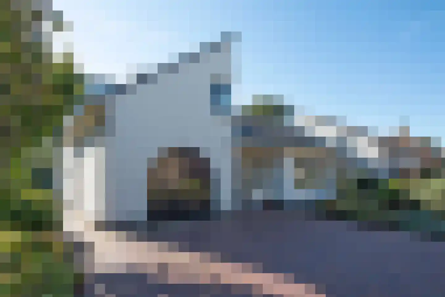 Fluitekruid 53 Delden thumbnail 6