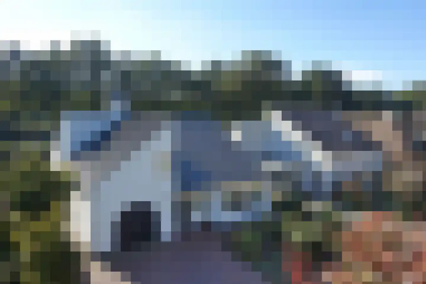 Fluitekruid 53 Delden thumbnail 60