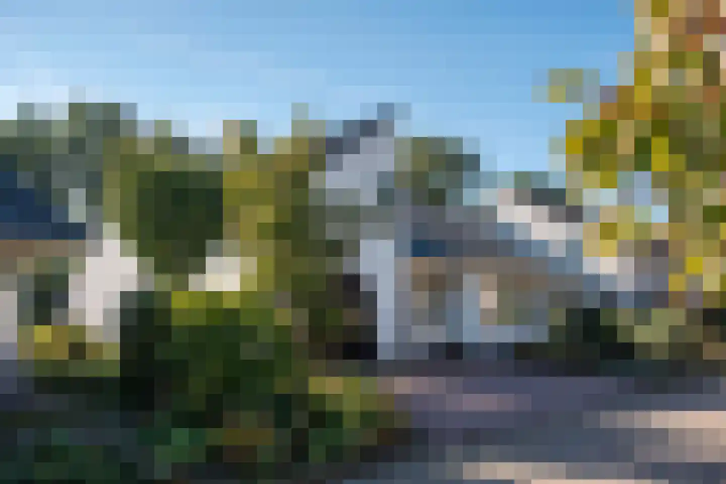 Fluitekruid 53 Delden thumbnail 61