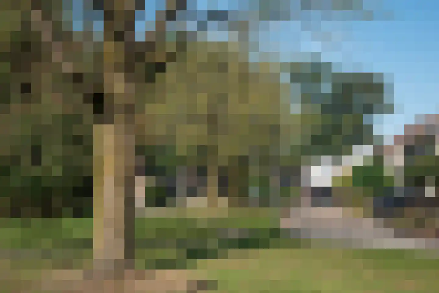 Fluitekruid 53 Delden thumbnail 64