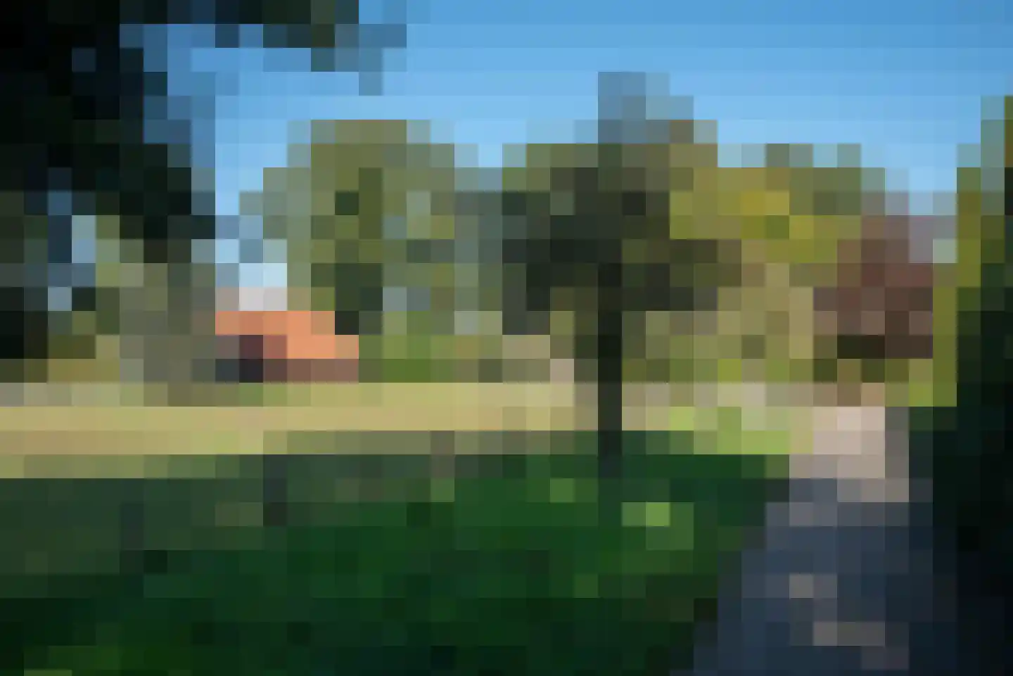 Fluitekruid 53 Delden thumbnail 66