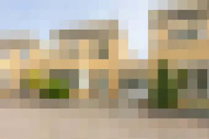 Fluitekruid 54 in Venray