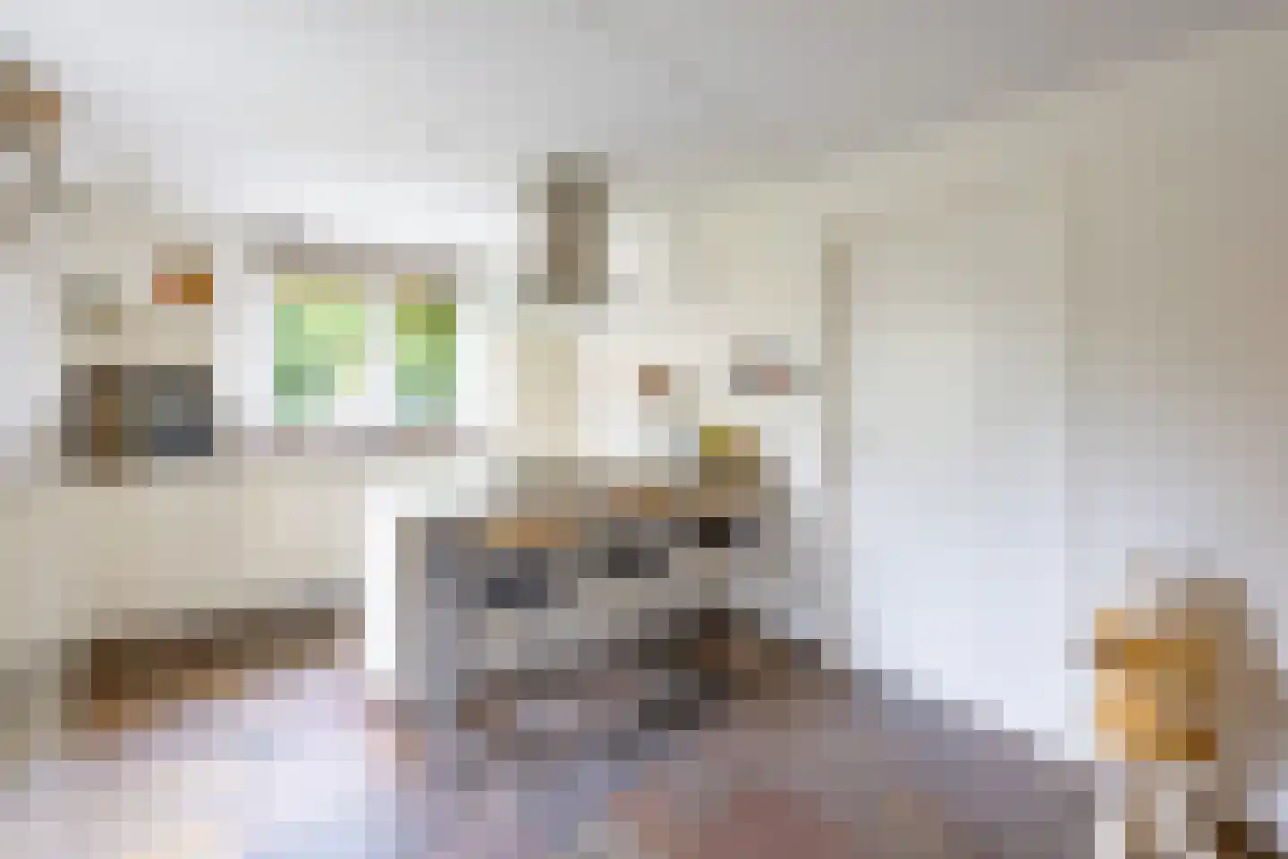 Fluitekruid 54 Venray thumbnail 17