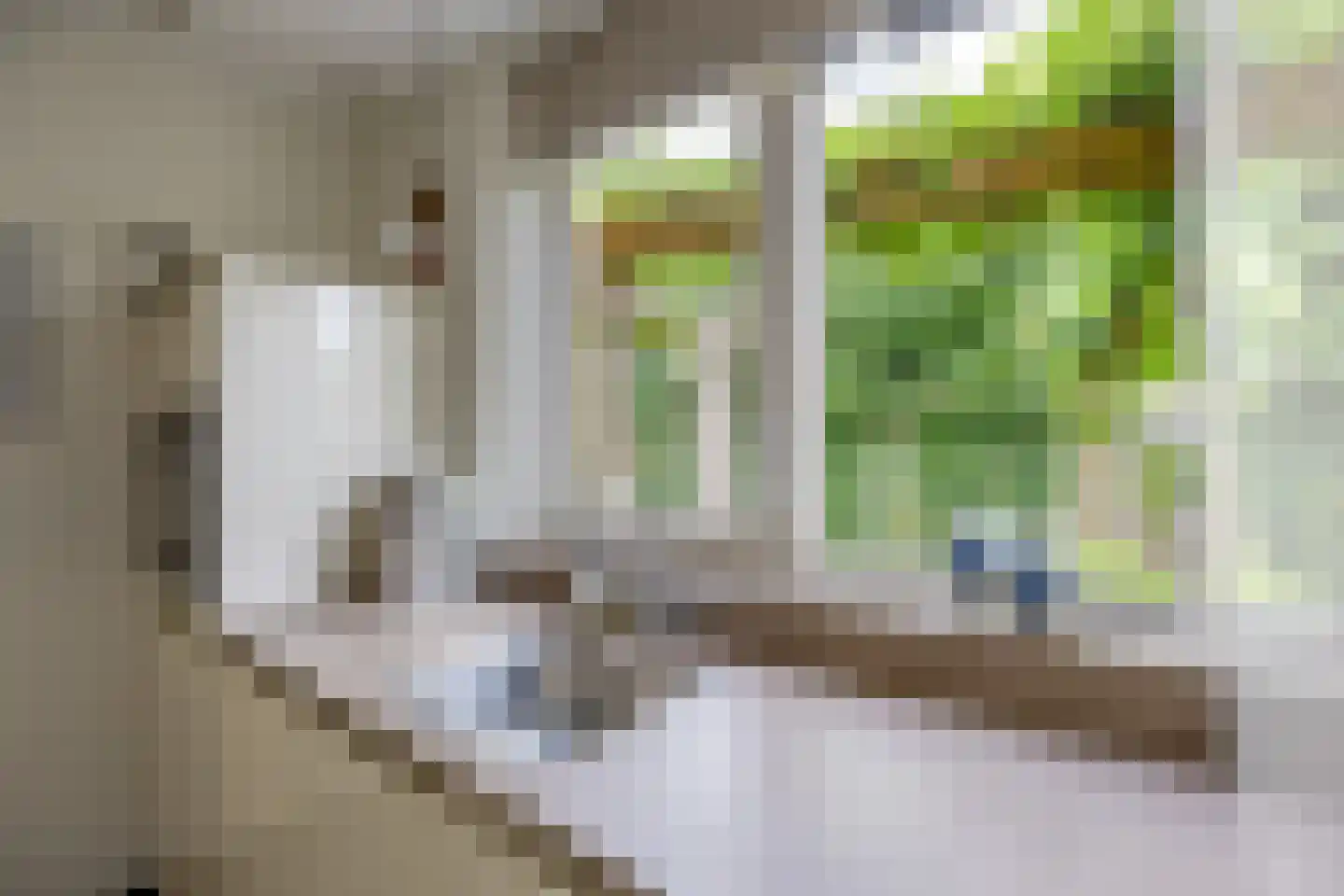 Fluitekruid 54 Venray thumbnail 21