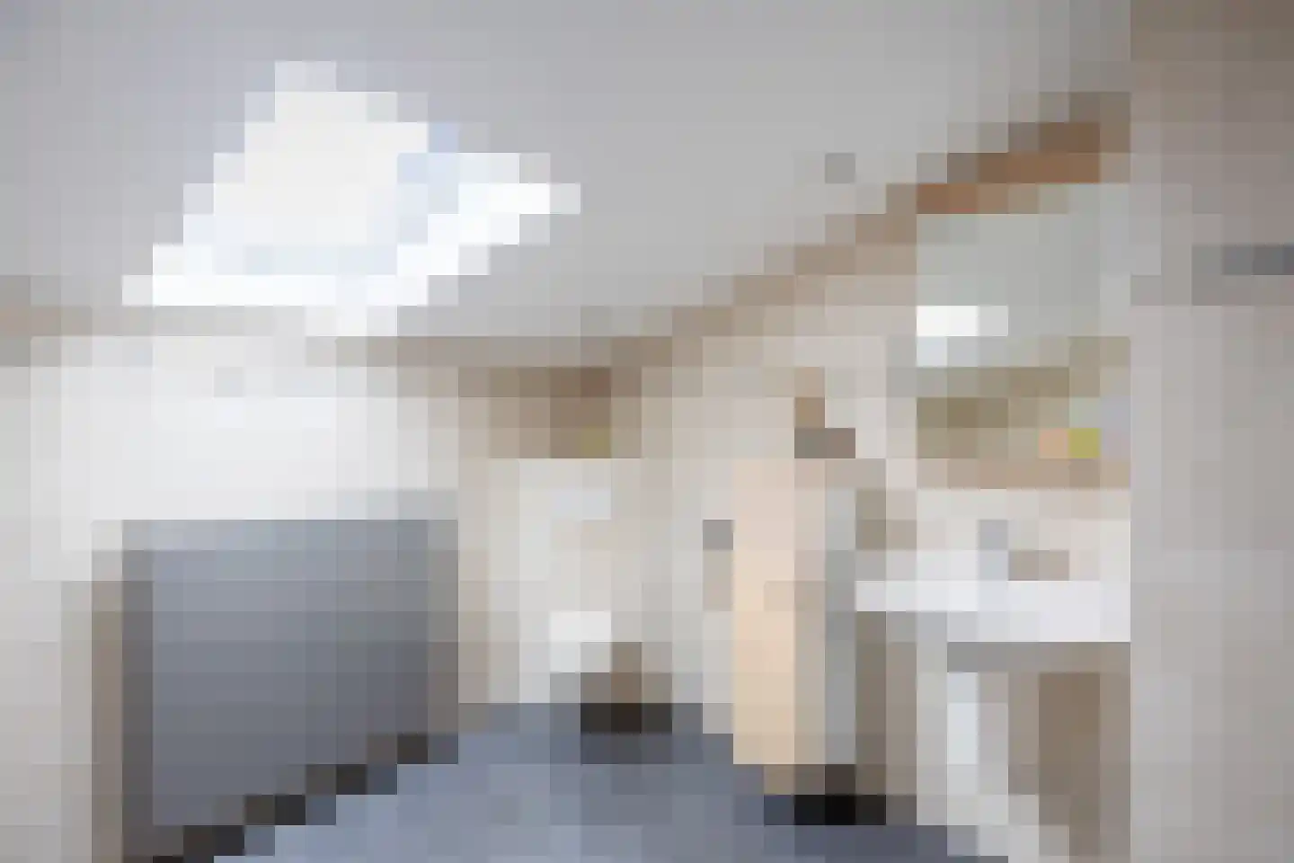Fluitekruid 54 Venray thumbnail 37