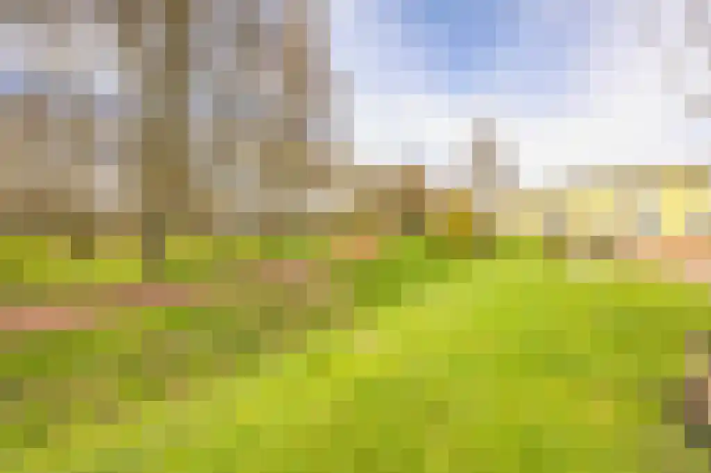 Fluitekruid 54 Venray thumbnail 4