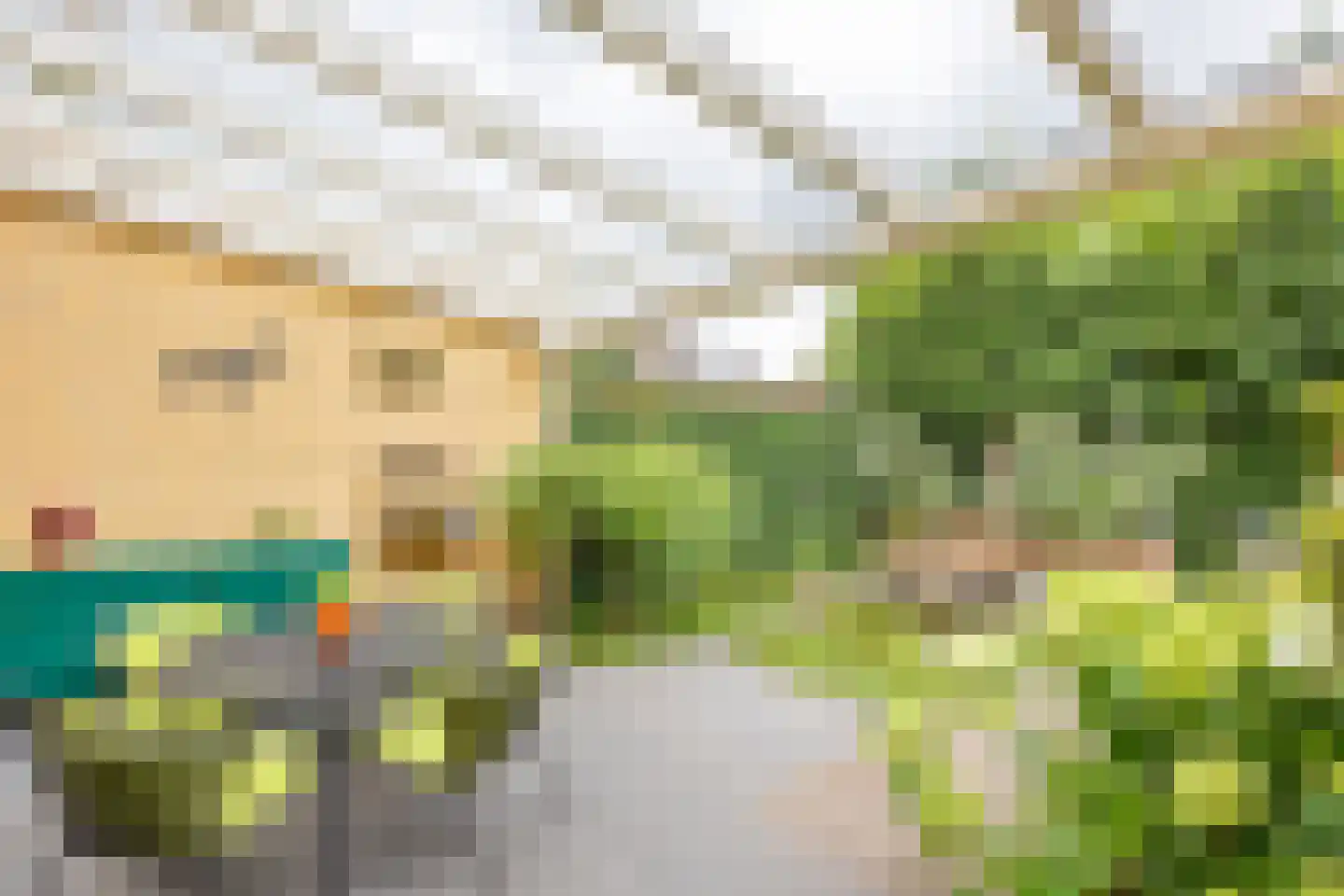 Fluitekruid 54 Venray thumbnail 41