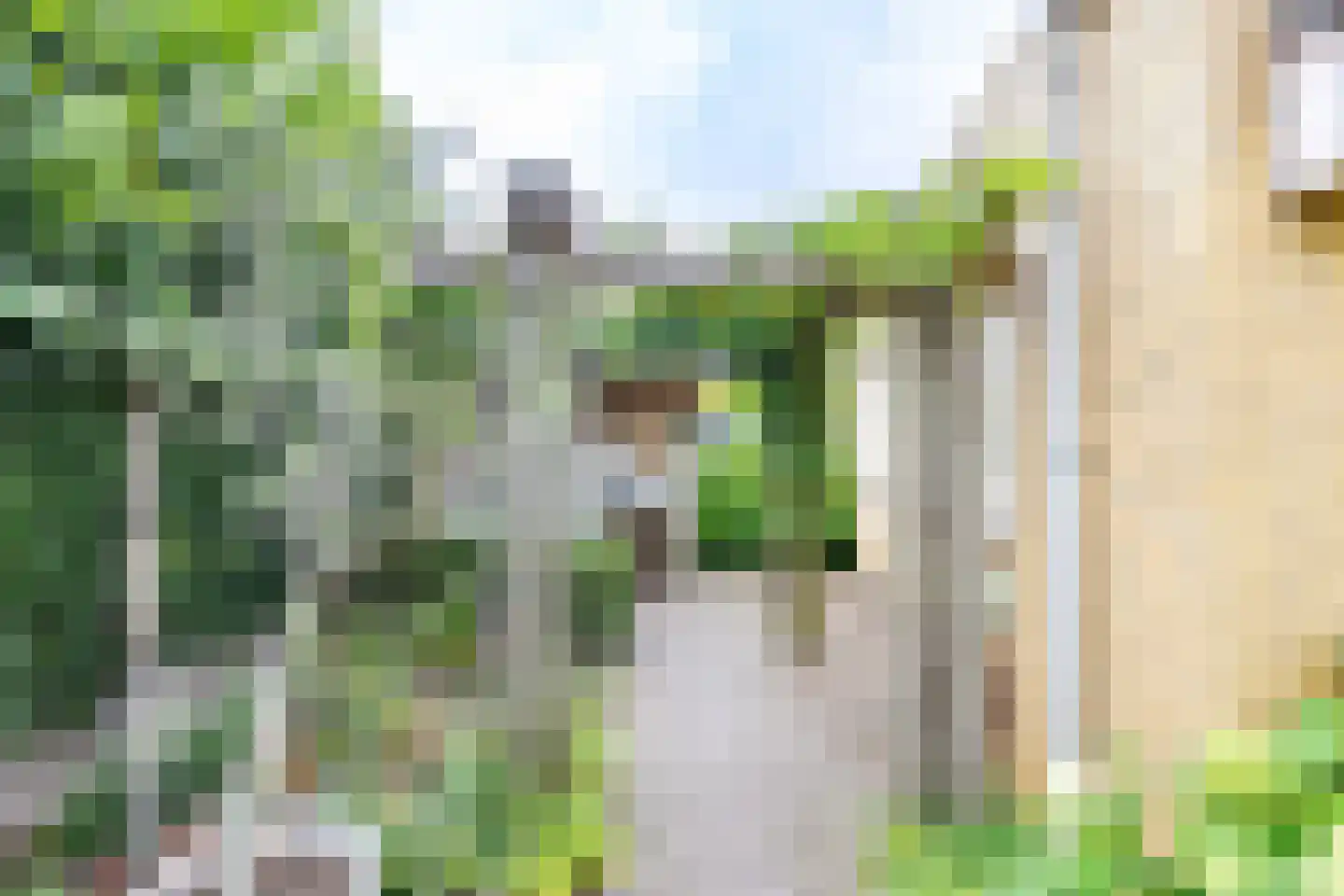 Fluitekruid 54 Venray thumbnail 44