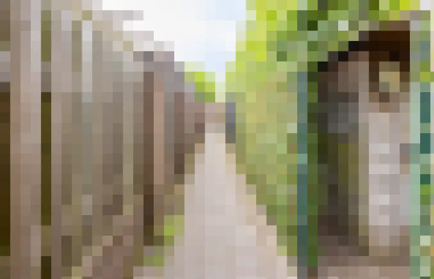 Fluitekruid 54 Venray thumbnail 46