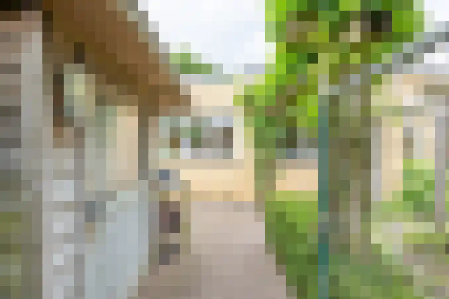 Fluitekruid 54 Venray thumbnail 47