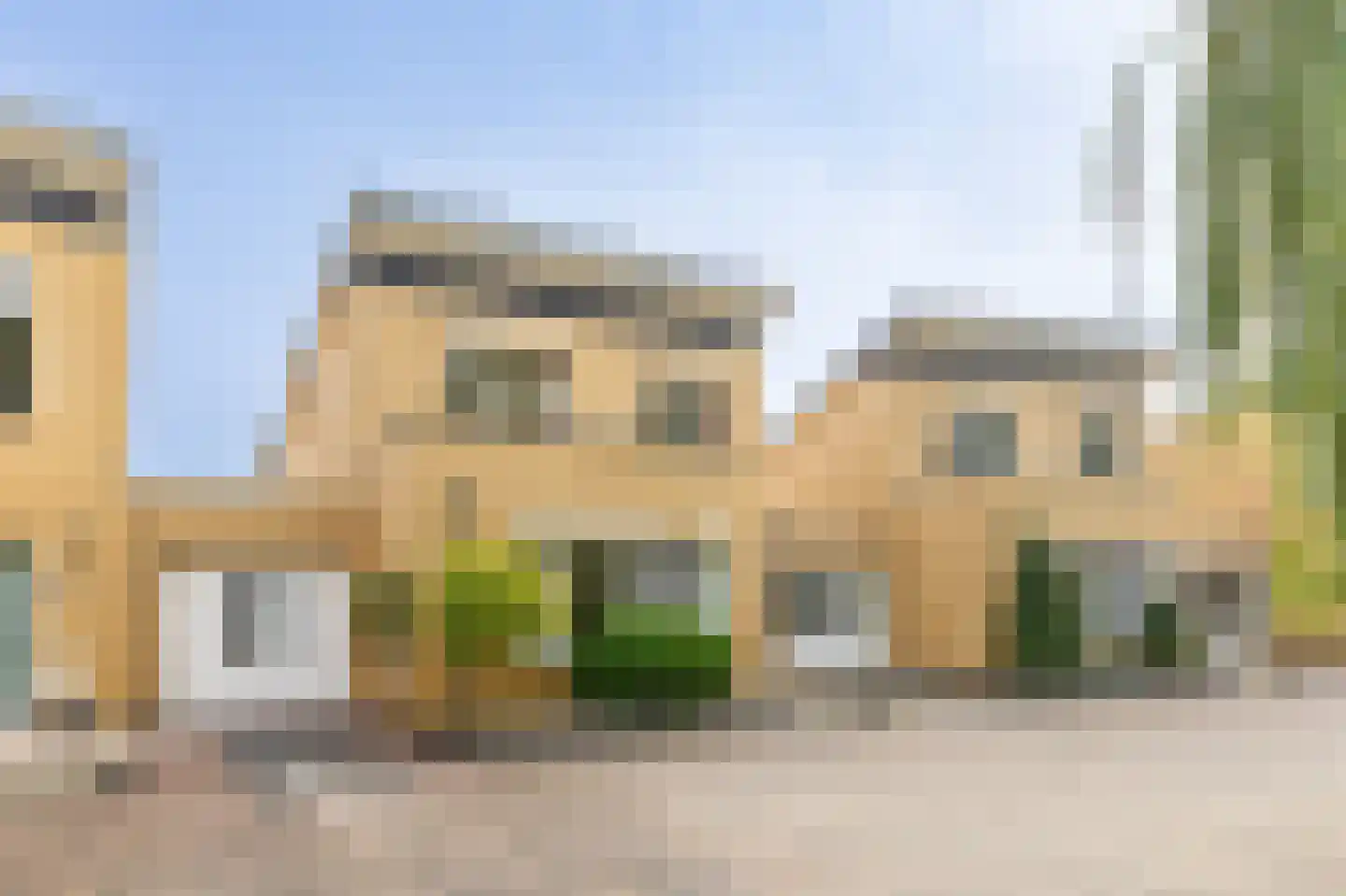 Fluitekruid 54 Venray thumbnail 48