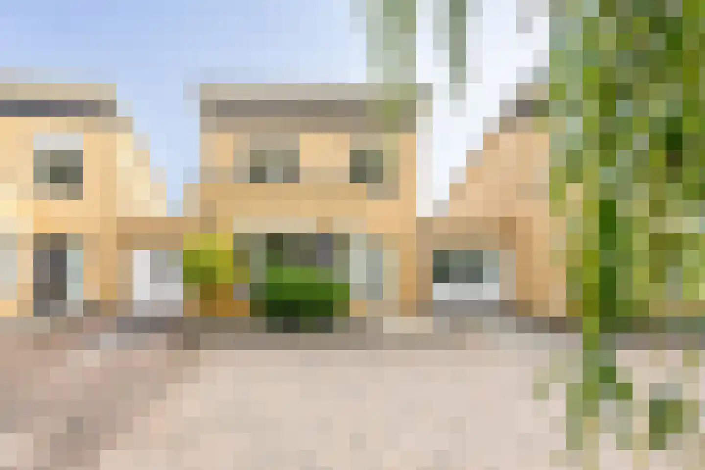 Fluitekruid 54 Venray thumbnail 5