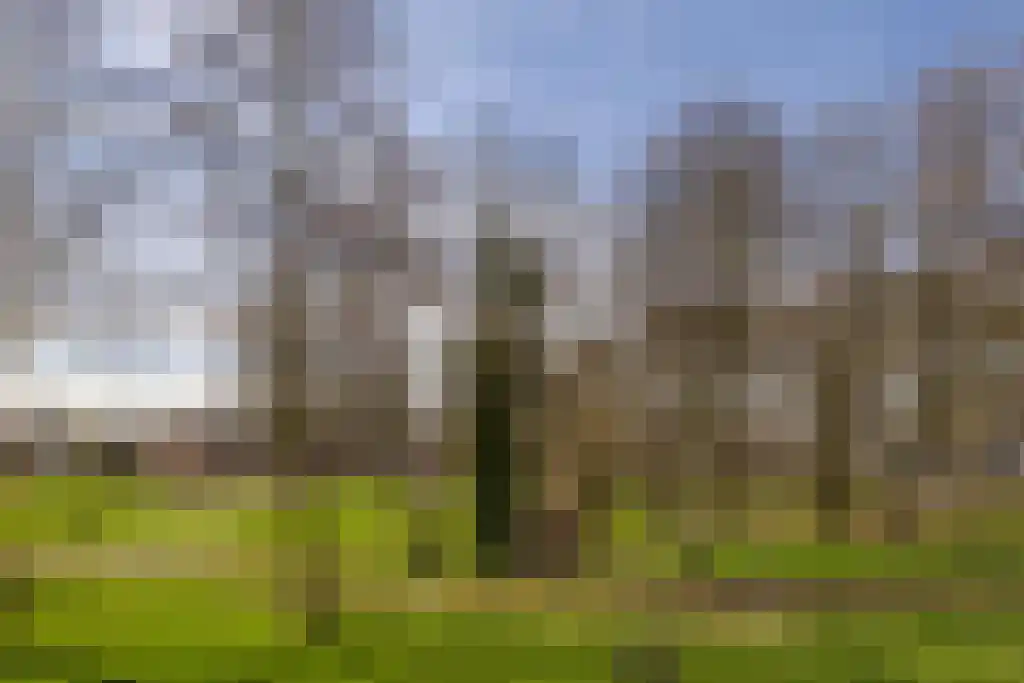 Fluitekruid 54 Venray thumbnail 50