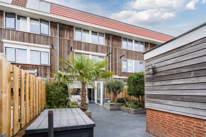 Fluitekruid 6 in Valkenburg Foto