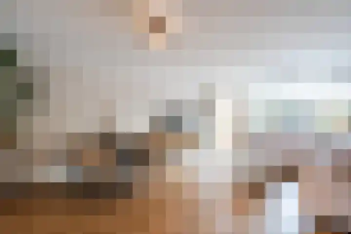 Fluitekruid 6 Valkenburg thumbnail 12