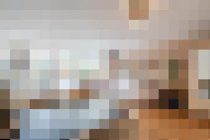 Fluitekruid 6 Valkenburg thumbnail 13