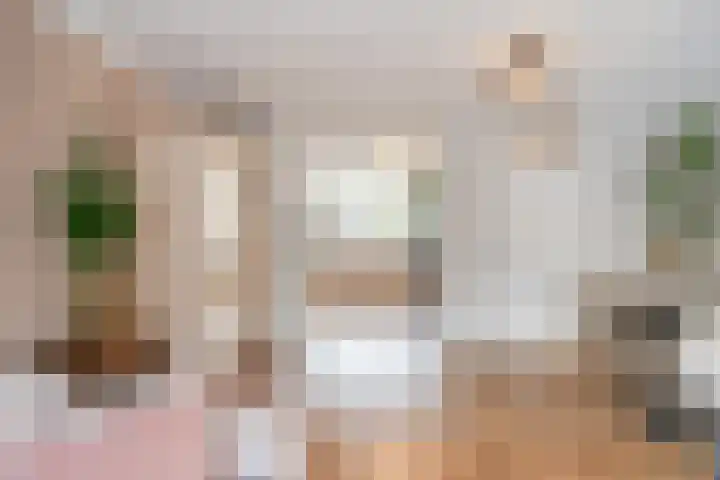 Fluitekruid 6 Valkenburg thumbnail 16