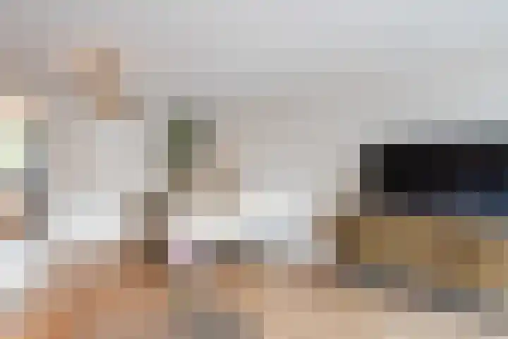 Fluitekruid 6 Valkenburg thumbnail 17
