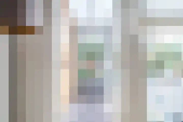 Fluitekruid 6 Valkenburg thumbnail 24