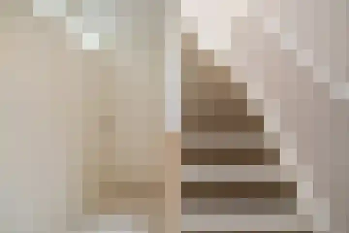 Fluitekruid 6 Valkenburg thumbnail 25