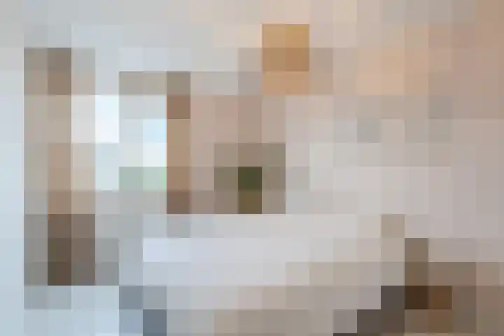 Fluitekruid 6 Valkenburg thumbnail 26