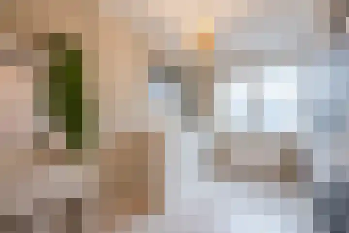 Fluitekruid 6 Valkenburg thumbnail 28