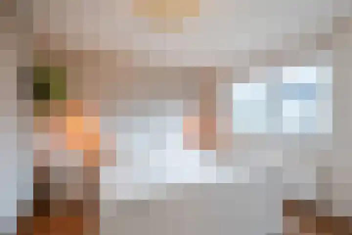 Fluitekruid 6 Valkenburg thumbnail 30