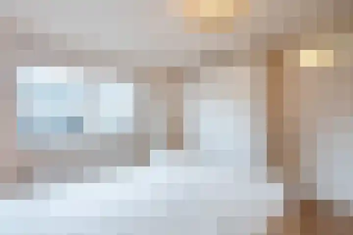 Fluitekruid 6 Valkenburg thumbnail 31