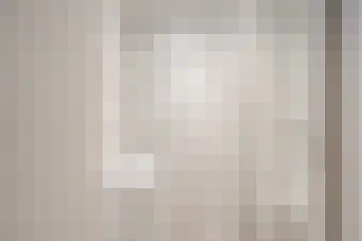 Fluitekruid 6 Valkenburg thumbnail 33